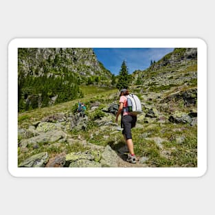 Group of hikers on a mountain trail Sticker